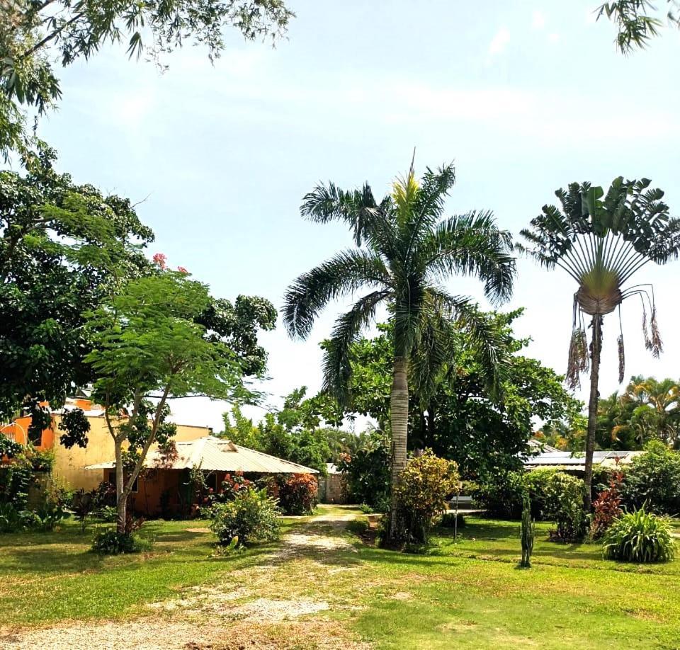 Fata Morgana Eco Hotel Las Terrenas Zewnętrze zdjęcie