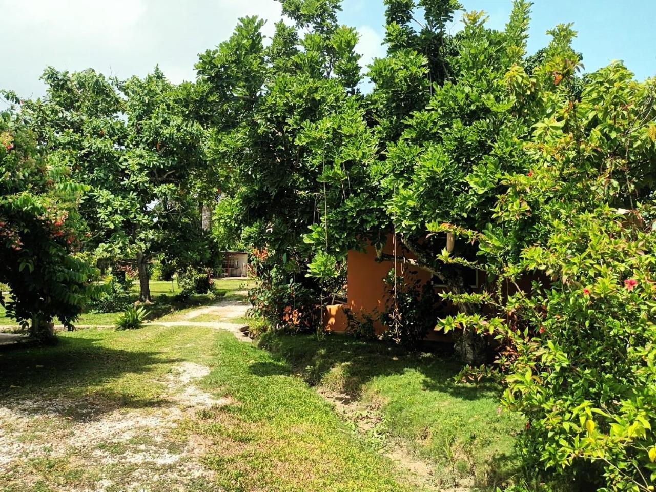 Fata Morgana Eco Hotel Las Terrenas Zewnętrze zdjęcie